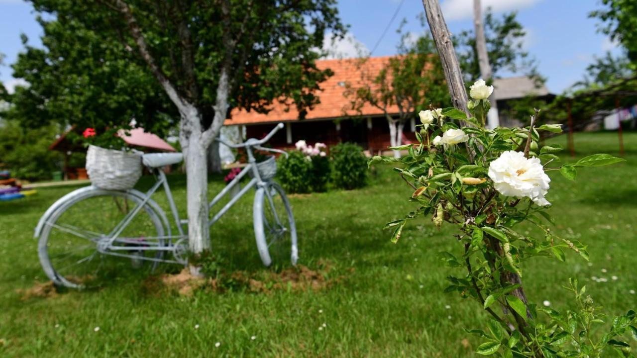 House Luna Rakovica Zewnętrze zdjęcie