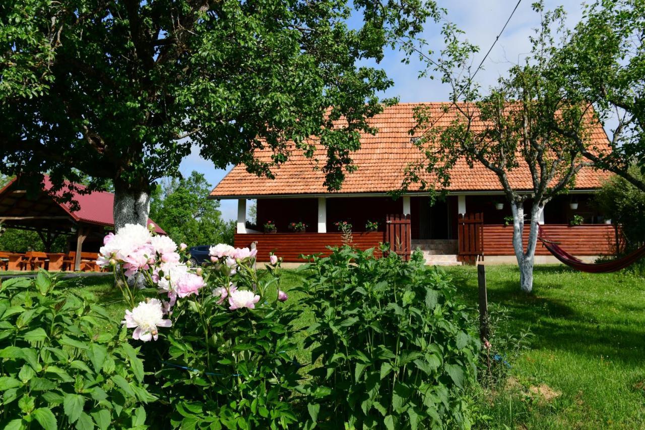 House Luna Rakovica Zewnętrze zdjęcie