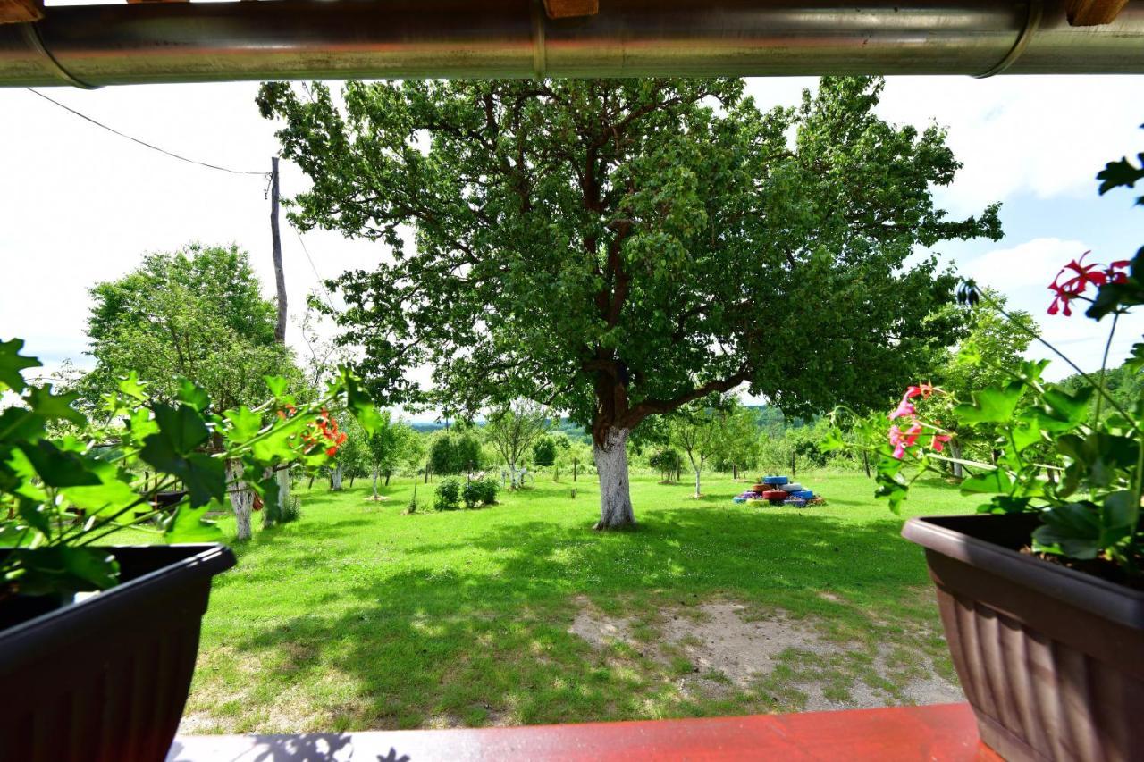 House Luna Rakovica Zewnętrze zdjęcie